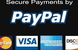 Secure Payments with Paypal